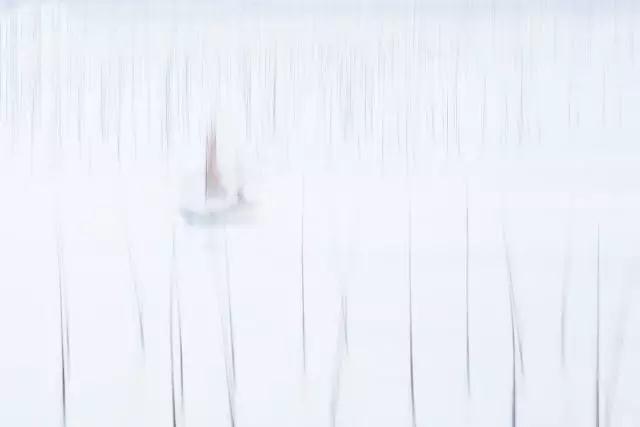 心里酸溜溜 如何生欢喜2.jpg 心里酸溜溜 如何生欢喜2.jpg