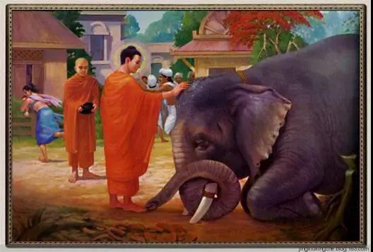 成佛的原因 佛都告诉你了2.jpg 成佛的原因 佛都告诉你了2.jpg