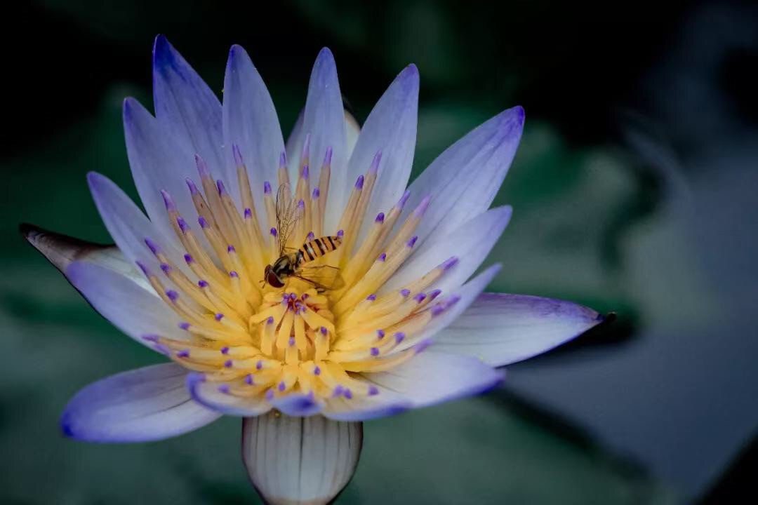 微信图片_20190712220330.jpg 微信图片_20190712220330.jpg