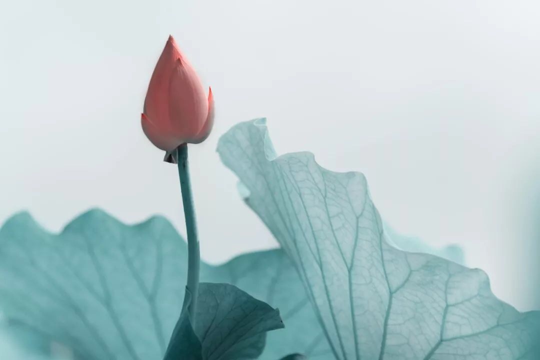 微信图片_20190730213009.jpg 微信图片_20190730213009.jpg