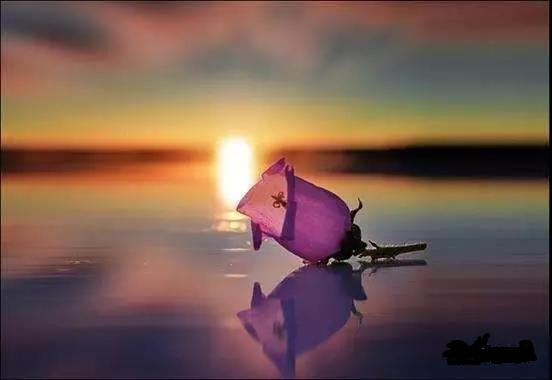 微信图片_20190806114253.jpg 微信图片_20190806114253.jpg