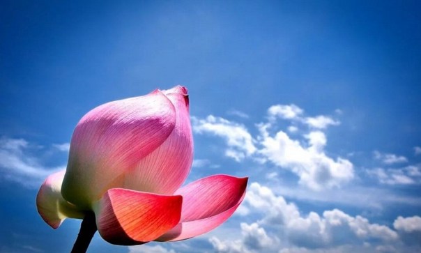 微信图片_20190913134635.jpg 微信图片_20190913134635.jpg