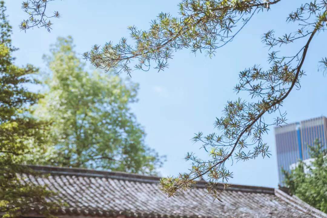 微信图片_20190925215139.jpg 微信图片_20190925215139.jpg