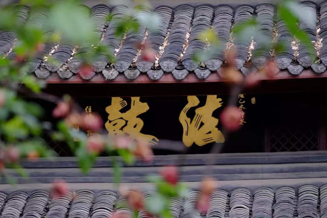 微信图片_20191008064800.jpg 微信图片_20191008064800.jpg