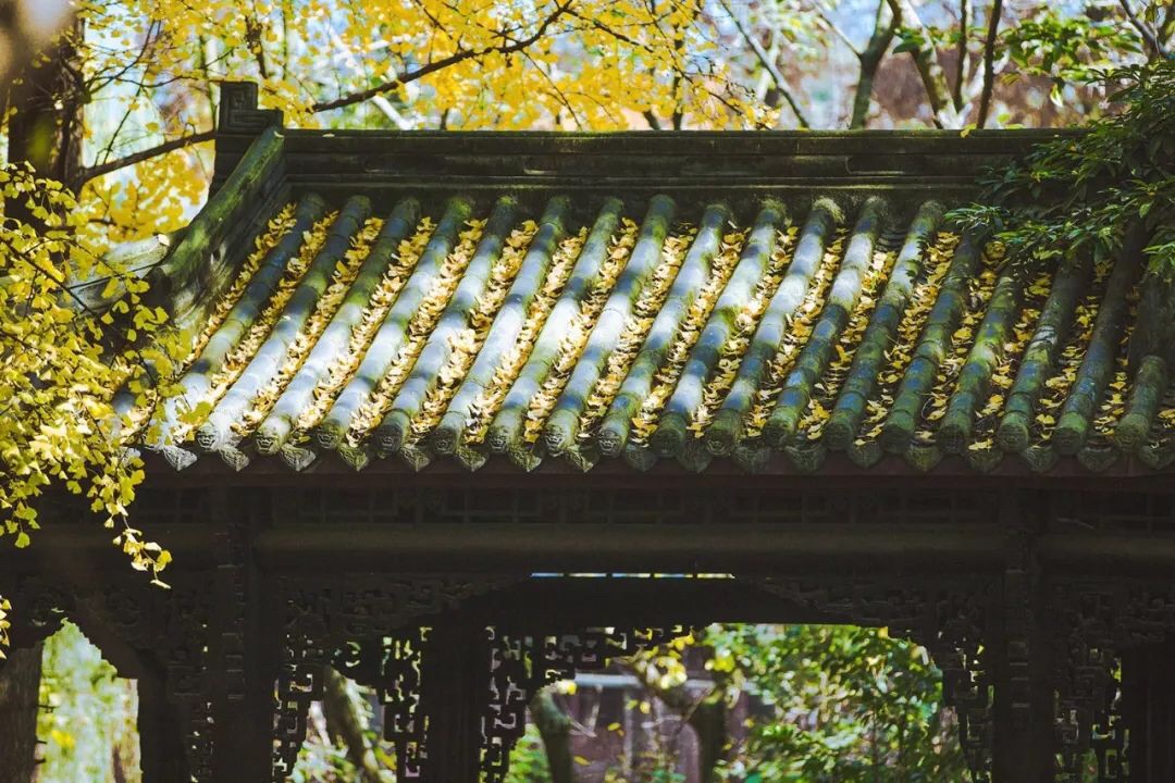 微信图片_20191008064816.jpg 微信图片_20191008064816.jpg